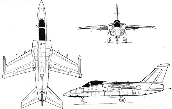 profile